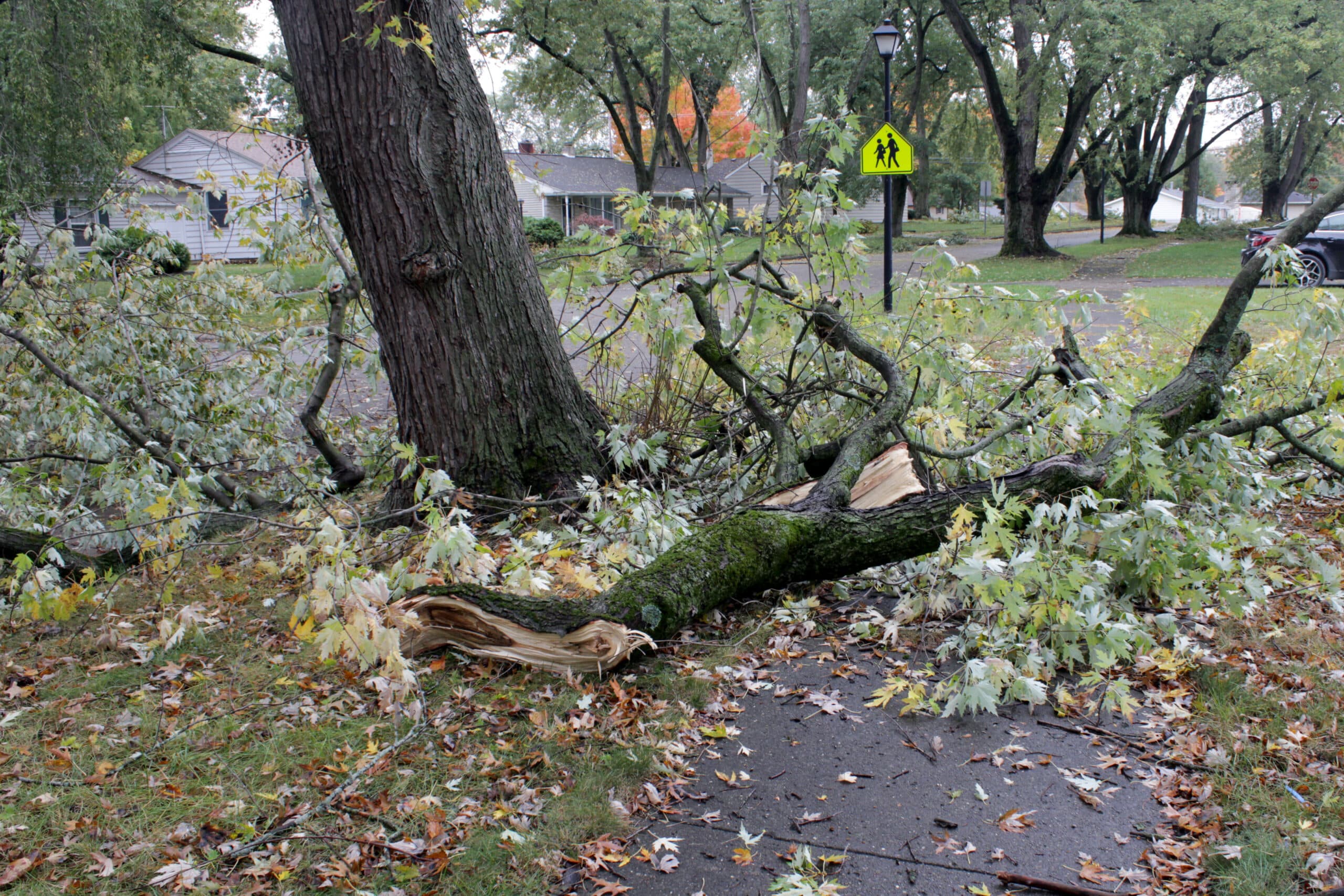 Windstorm Claims