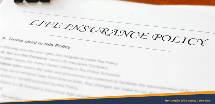 Life insurance policy paper indicating the terms